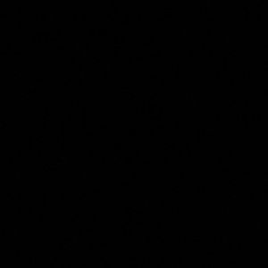 Meet your Posher, Shonna